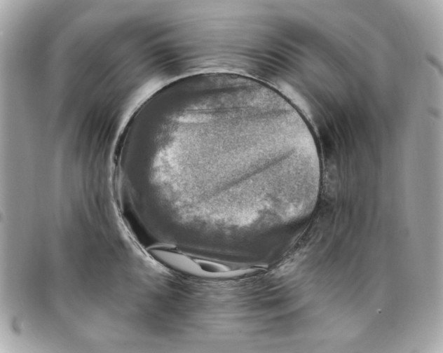 X0000097791096200803211815