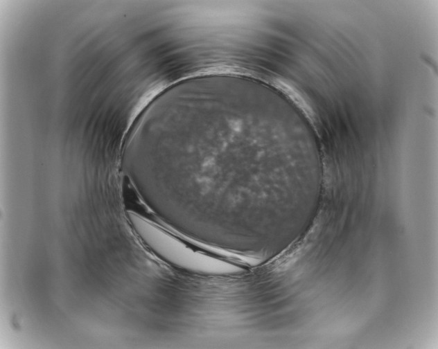 X0000097791097200803211815