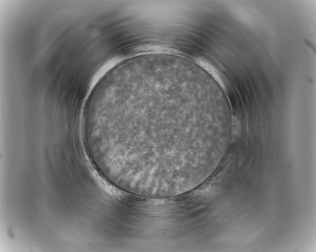 X0000097791098200803211815