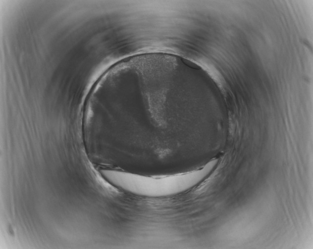 X0000097791102200803211815