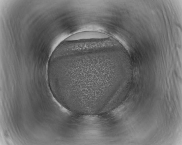 X0000097791103200803211815