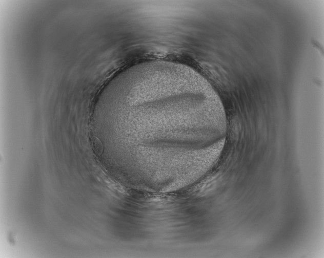 X0000097791105200803211815