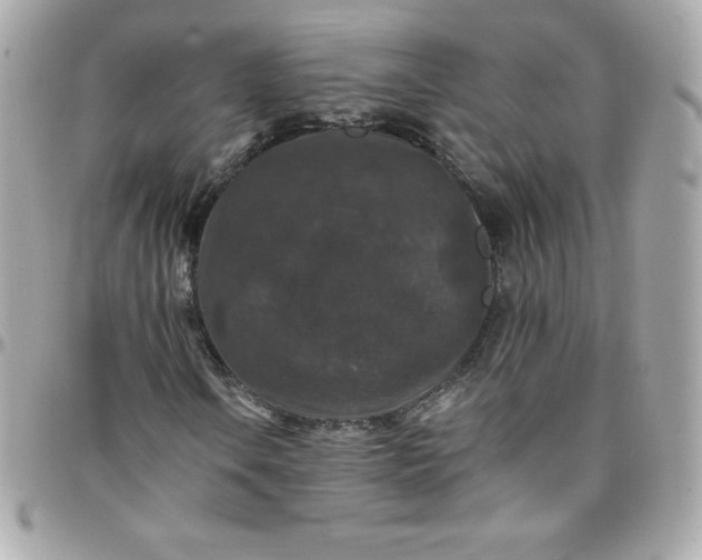 X0000097791106200803211815