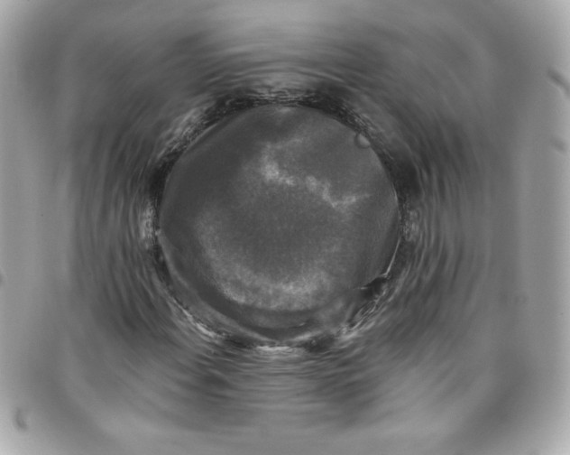 X0000097791108200803211815