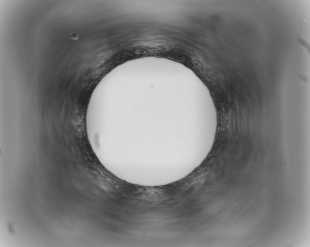 X0000097791109200803211815