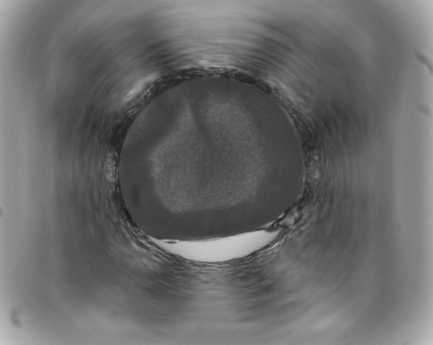 X0000097791110200803211815