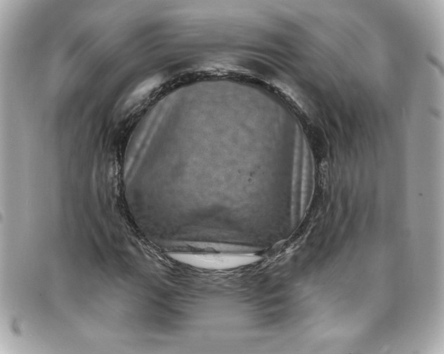 X0000097791111200803211815