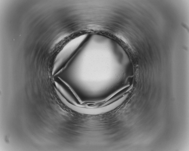 X0000097791112200803211815