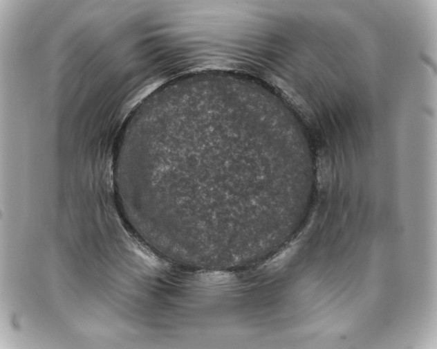 X0000097791113200803211815
