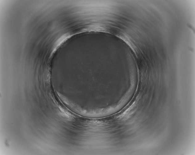 X0000097791115200803211815
