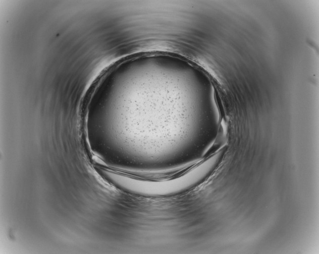 X0000097791116200803211815