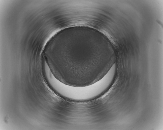 X0000097791118200803211815