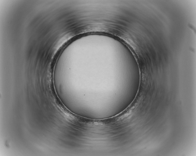 X0000097791119200803211815