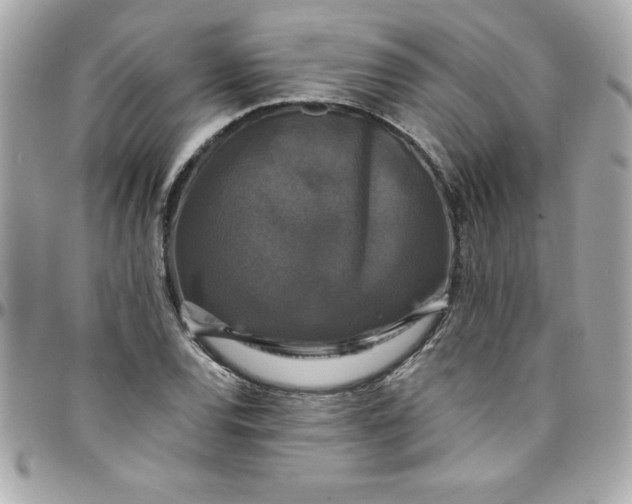 X0000097791120200803211815