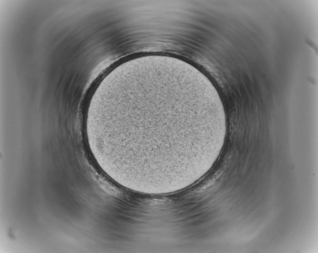 X0000097791122200803211815