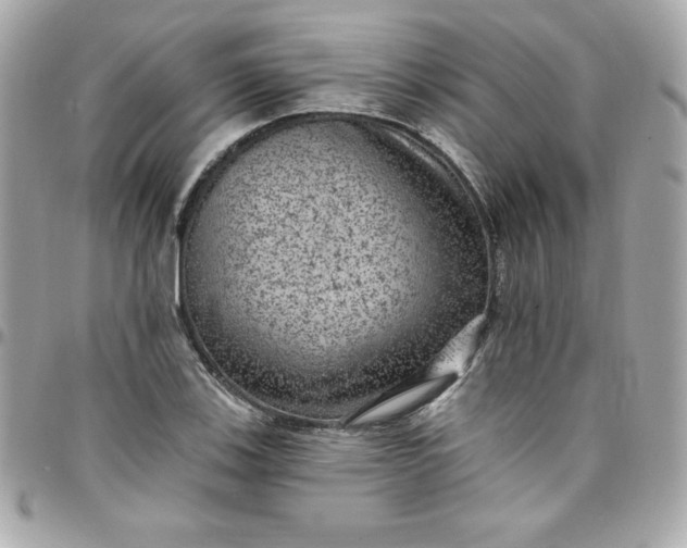 X0000097791123200803211815