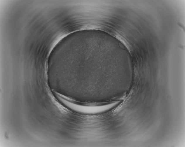 X0000097791124200803211815