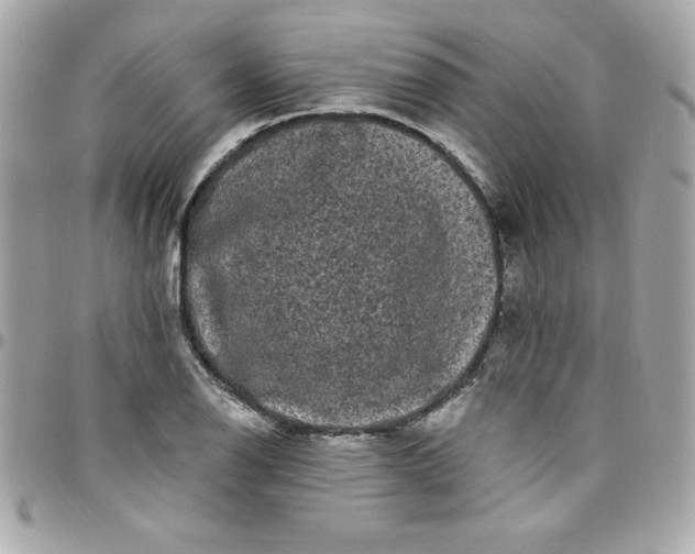 X0000097791126200803211815