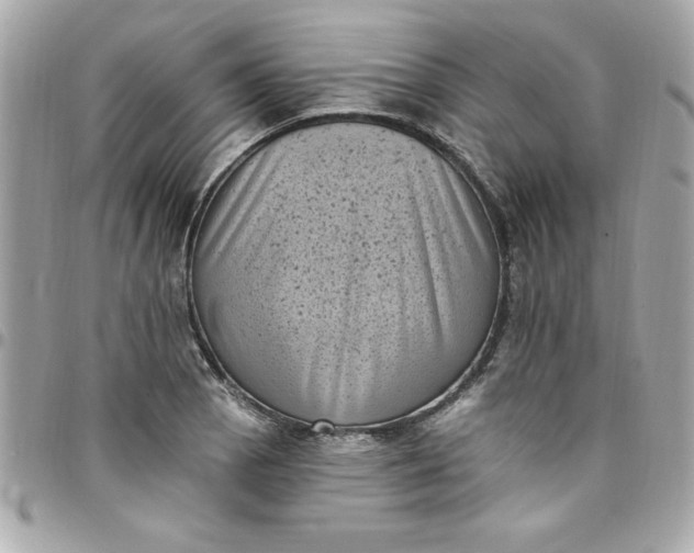 X0000097791129200803211815