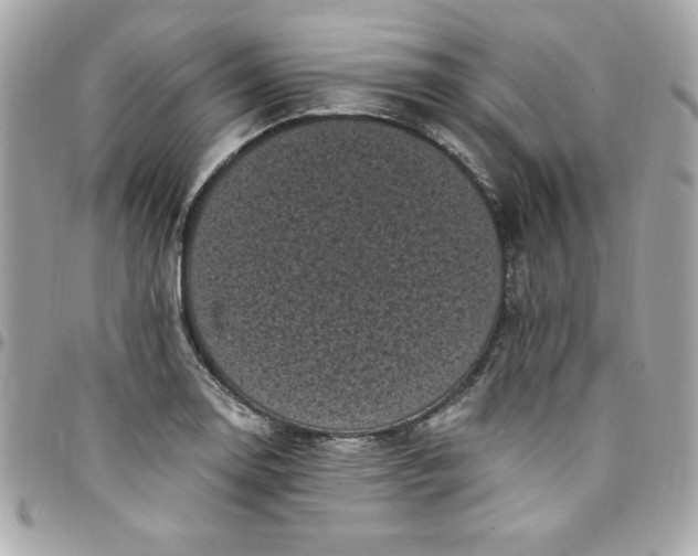 X0000097791130200803211815