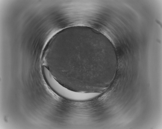 X0000097791132200803211815