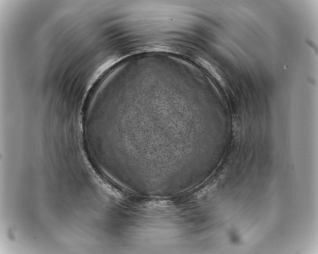 X0000097791133200803211815