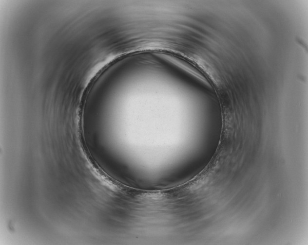 X0000097791134200803211815