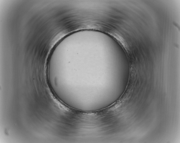 X0000097791135200803211815