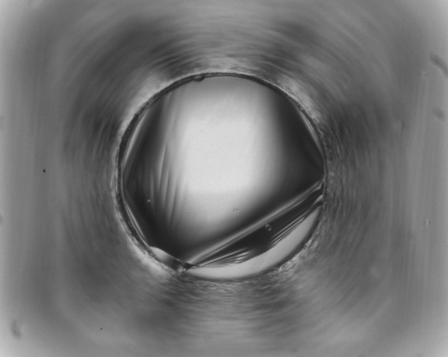 X0000097791136200803211815