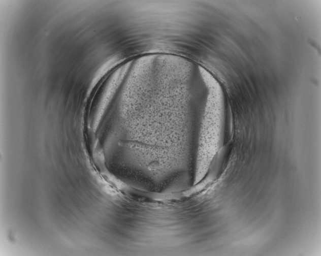 X0000097791138200803211815