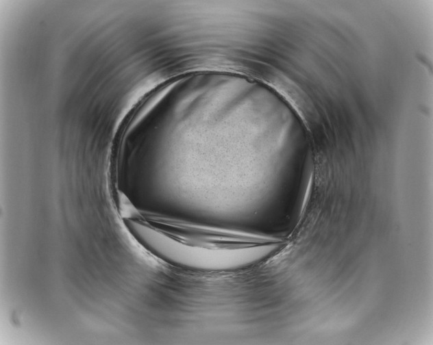 X0000097791139200803211815