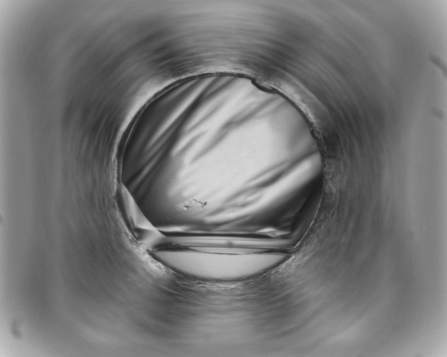 X0000097791140200803211815