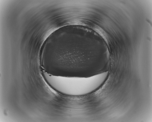 X0000097791141200803211815