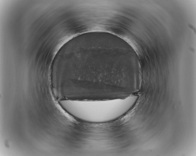 X0000097791142200803211815