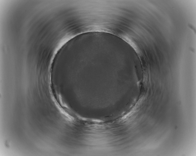 X0000097791144200803211815