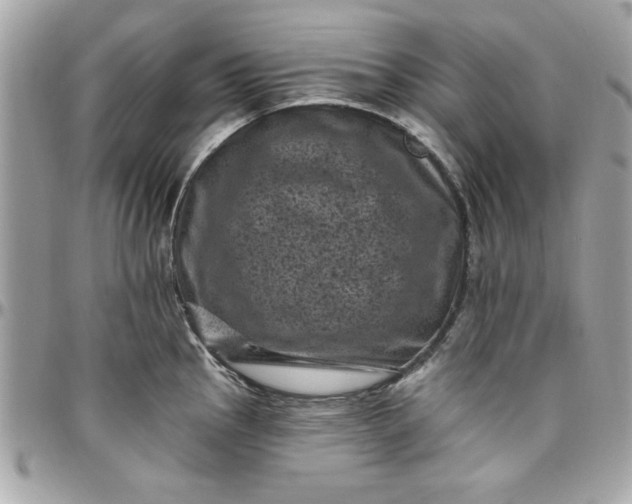 X0000097791145200803211815