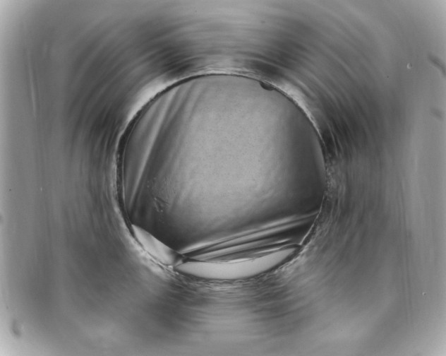 X0000097791147200803211815