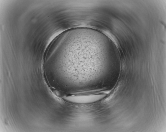 X0000097791149200803211815