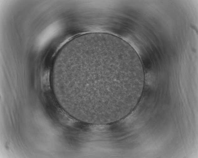 X0000097791150200803211815