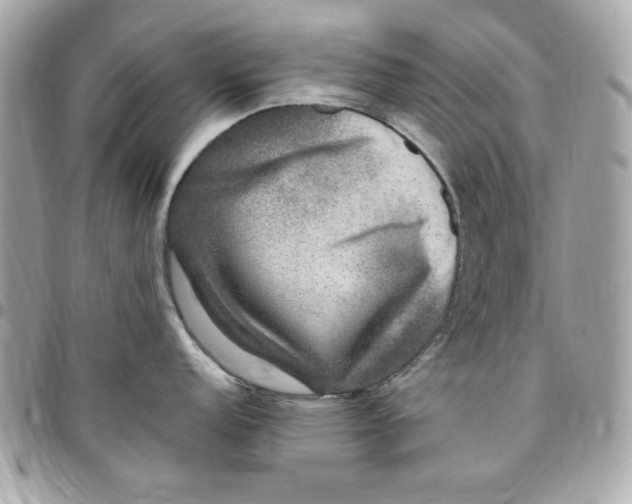 X0000097791152200803211815