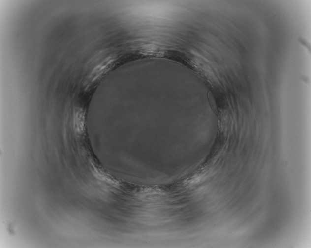 X0000097791154200803211815