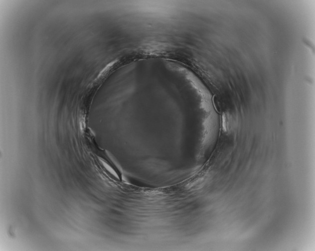 X0000097791155200803211815