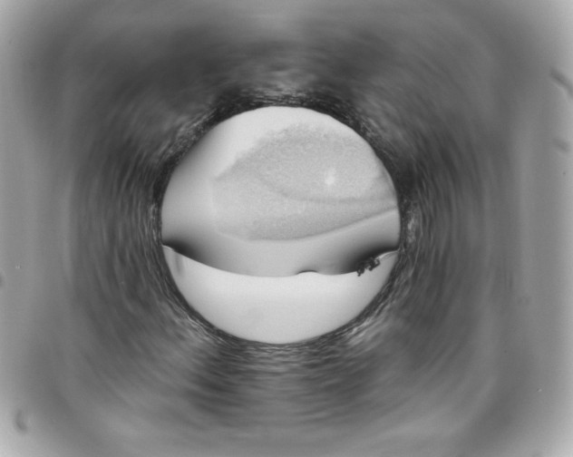 X0000097791156200803211815
