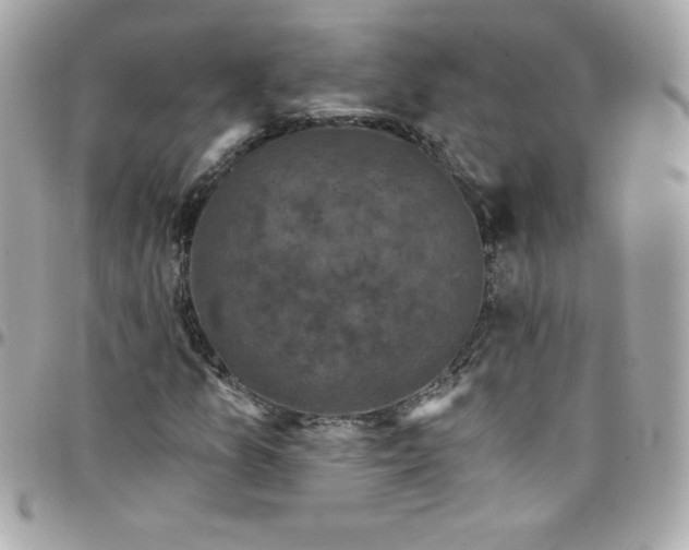 X0000097791157200803211815