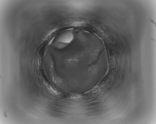 X0000097791158200803211814
