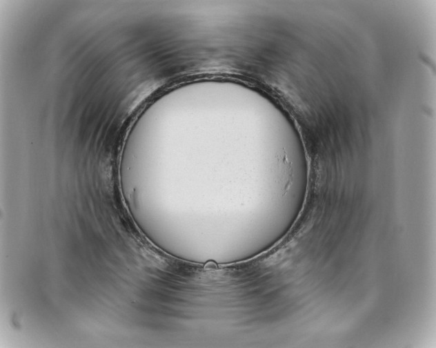 X0000097791162200803211814