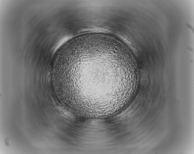 X0000097791163200803211814