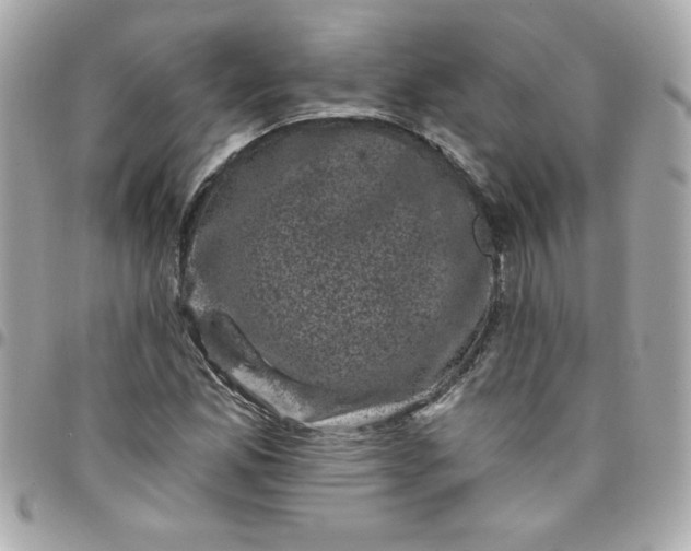 X0000097791165200803211814