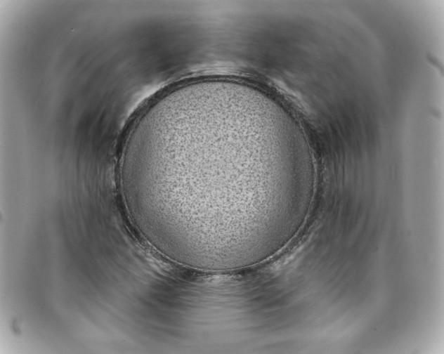 X0000097791166200803211814