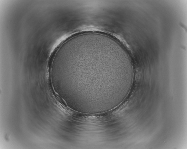 X0000097791167200803211814